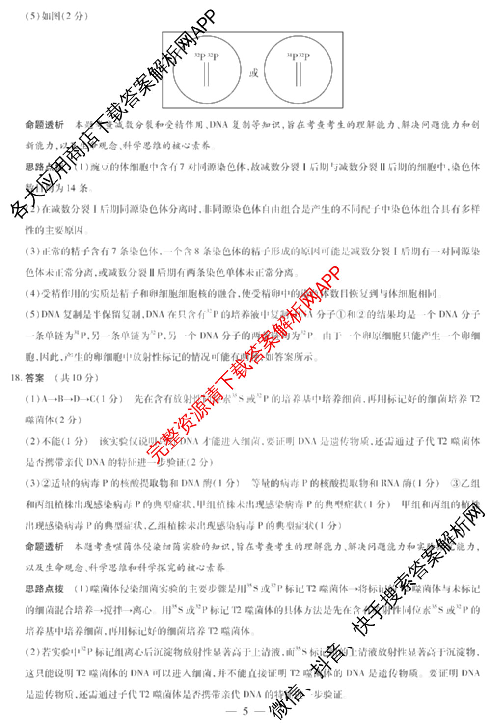  天一大联2024-2025学年高一年级阶段性测试(四)4各科答案及试卷（含数学(北师大版) 化学(鲁科版) 物理(宣城专版)等）生物答案