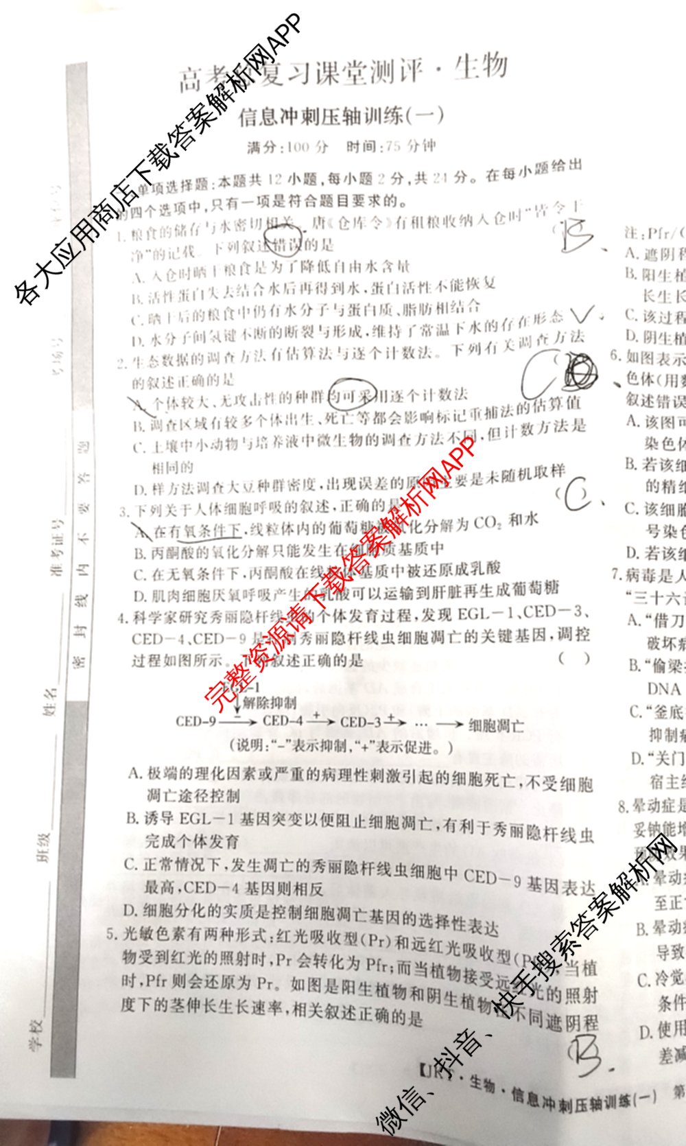 2026高考总复课堂测评信息冲刺压轴训练(一)1试卷及答案汇总（含化学(3)、历史(2)、物理(8)等21份）生物试题