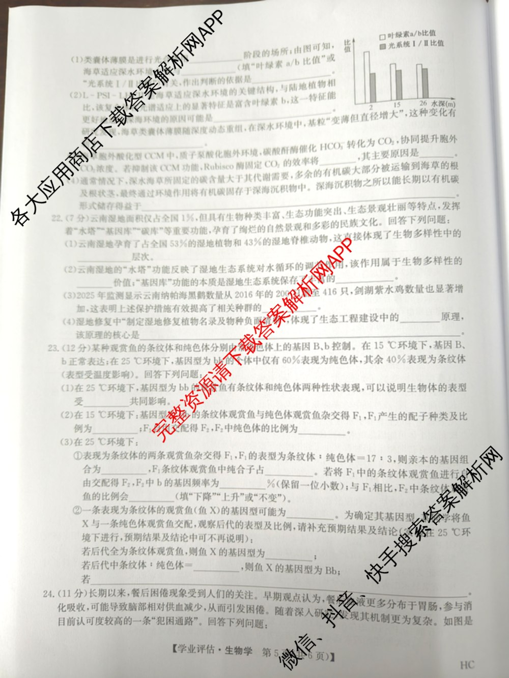 九师联盟2025-2026高三学业评估(4月)试卷及答案汇总（16科全）生物试题