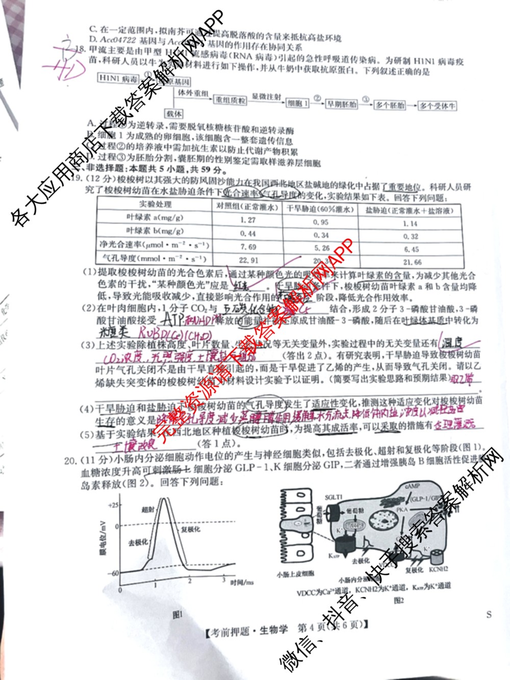 九师联盟2025届高三5月考前冲刺(一)（含地理(N)、政治、英语(无字母)等45份）生物试题