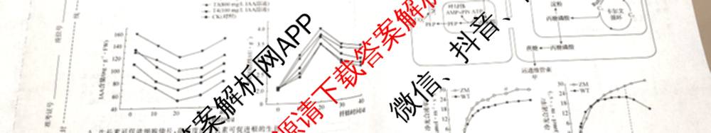 天舟高考衡中同卷2026年普通高等学校招生全国统一考试模拟信息卷(三)3试卷及答案汇总(已更新地理(WY)、数学(无字母)、文综(新疆版)等35份)生物试题