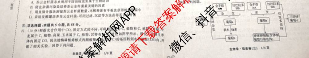 天舟高考衡中同卷2026年普通高等学校招生全国统一考试模拟信息卷(三)3试卷及答案汇总(已更新地理(WY)、数学(无字母)、文综(新疆版)等35份)生物试题