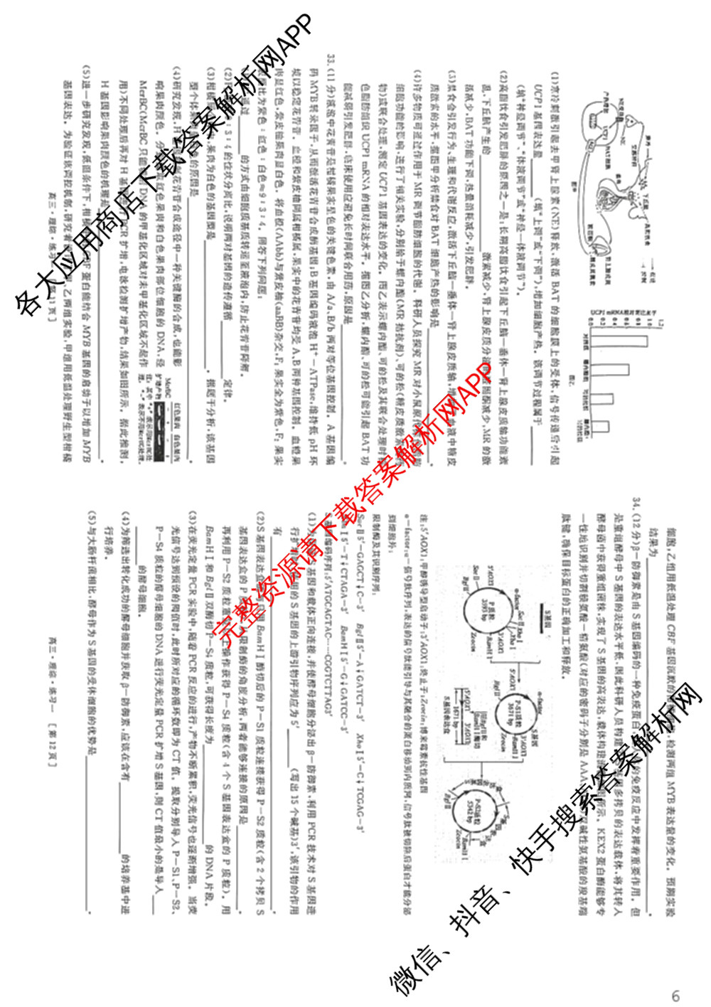 海淀八模2026届高三练(一)（含历史(S)、政治(S)、物理等）理综试题
