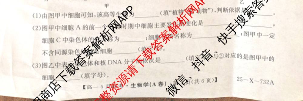 [安徽县中联盟]2024~2025学年度第二学期高一5月联考(25-X-732A)各科答案及试卷（含语文、地理(A卷)、生物(B)等）生物试题