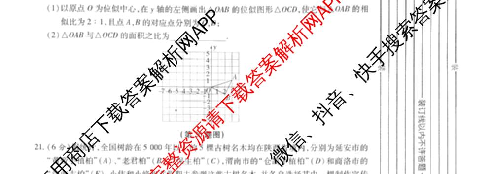 [益卷]2025~2026学年度第一学期课后综合作业(三)[试卷类型A]九年级（含英语(外研版) 数学(沪科版) 化学(人教版)等11份）数学试题