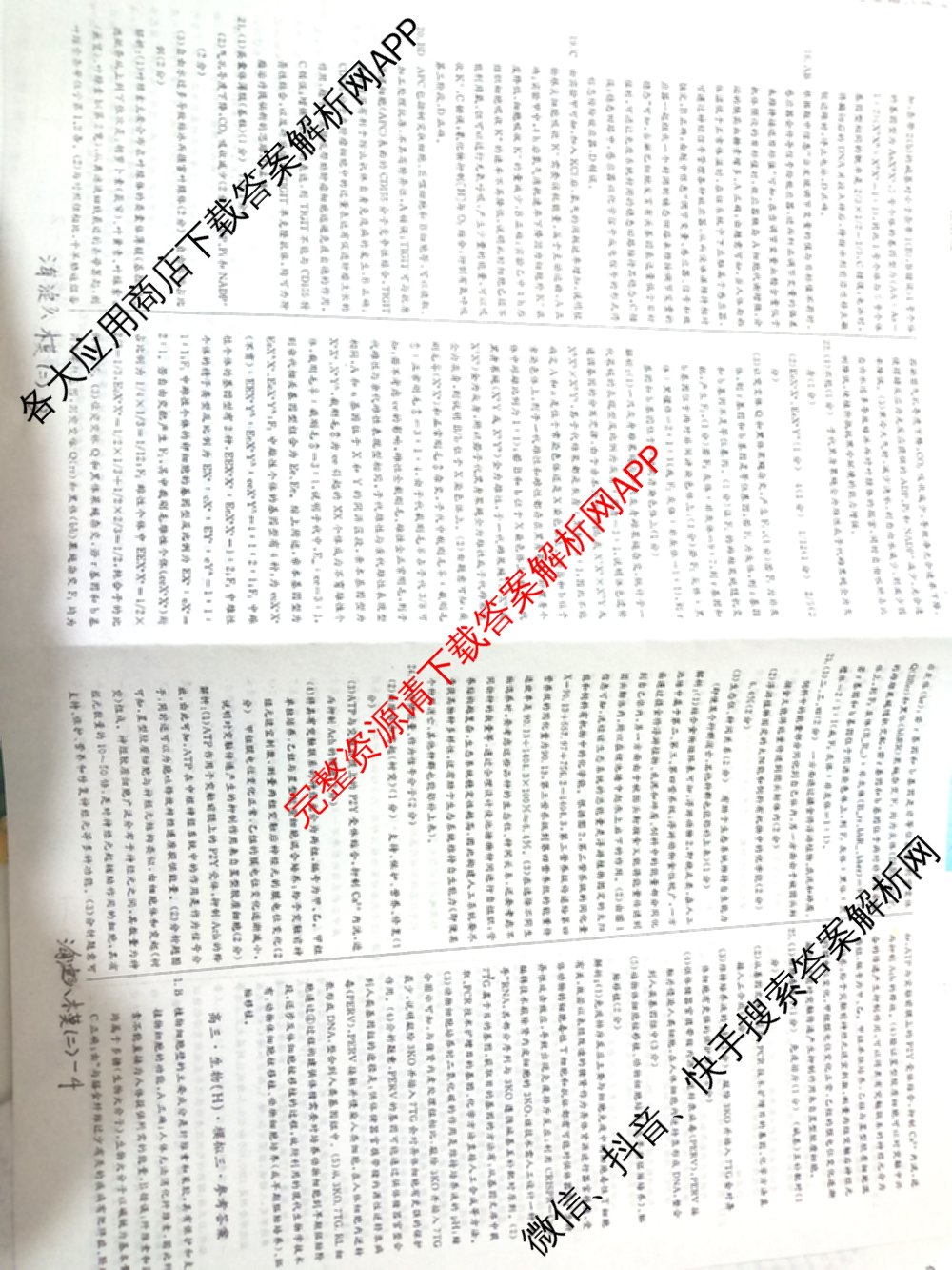 海淀八模2025届高三模拟测试卷(二)2试卷及答案汇总: 含文综(XJ)、物理(河南)、历史试卷解析生物答案