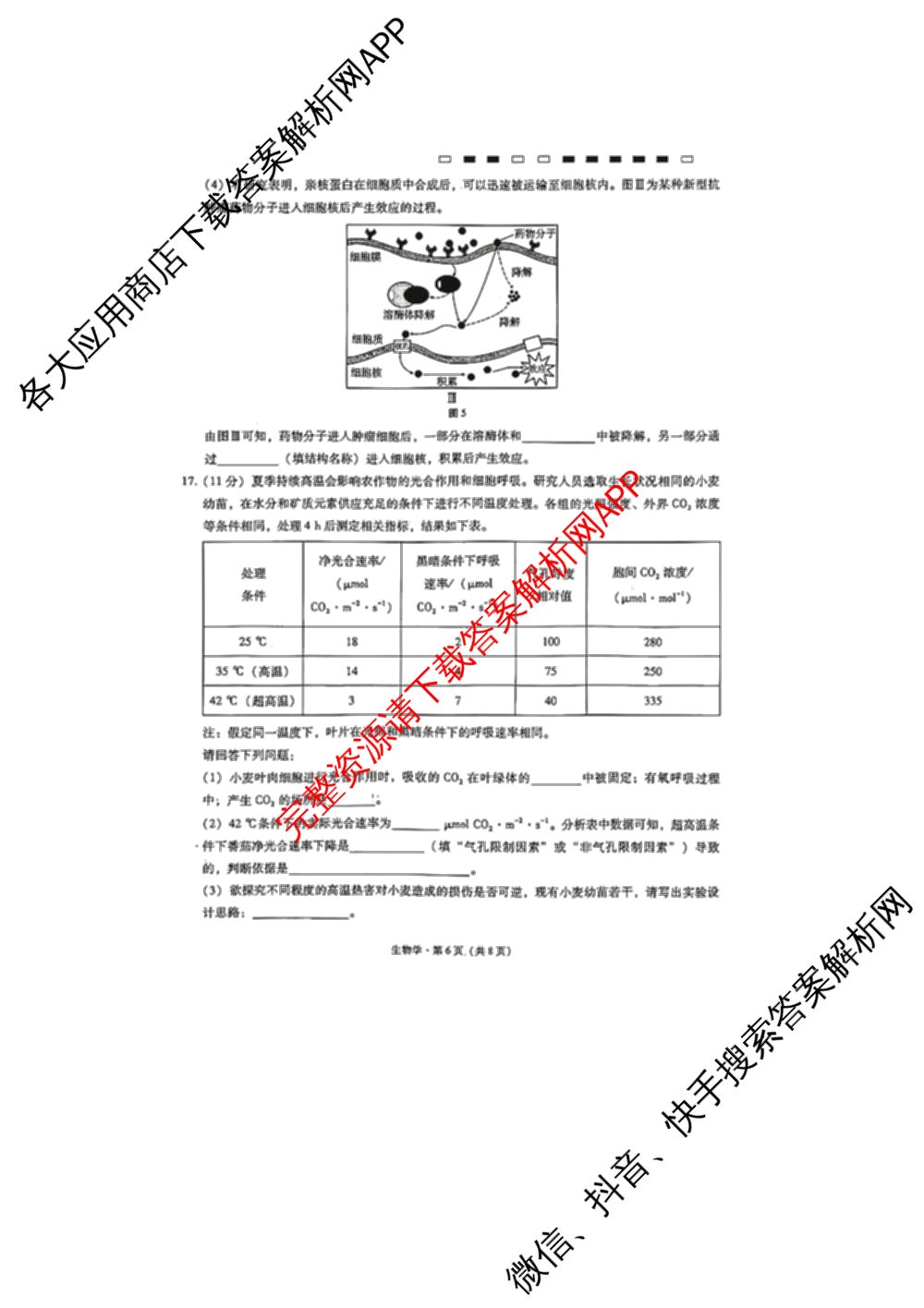重庆市巴蜀中学2026-2027学年高三上学期开学考试(无标题)试卷及答案汇总(已更新历史、政治、语文等9份)生物试题