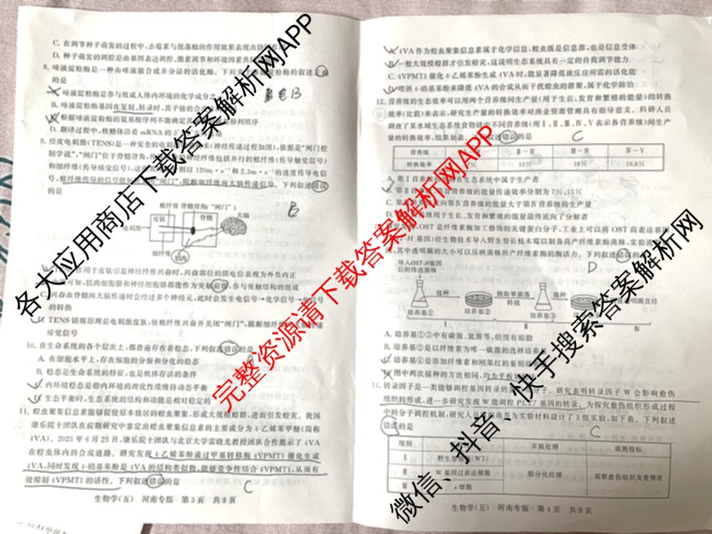 冲刺新高考2026届高考仿真训练(T8)(五)5试卷及答案汇总（含历史(河北专版)、地理(河南专版)、语文等）生物试题