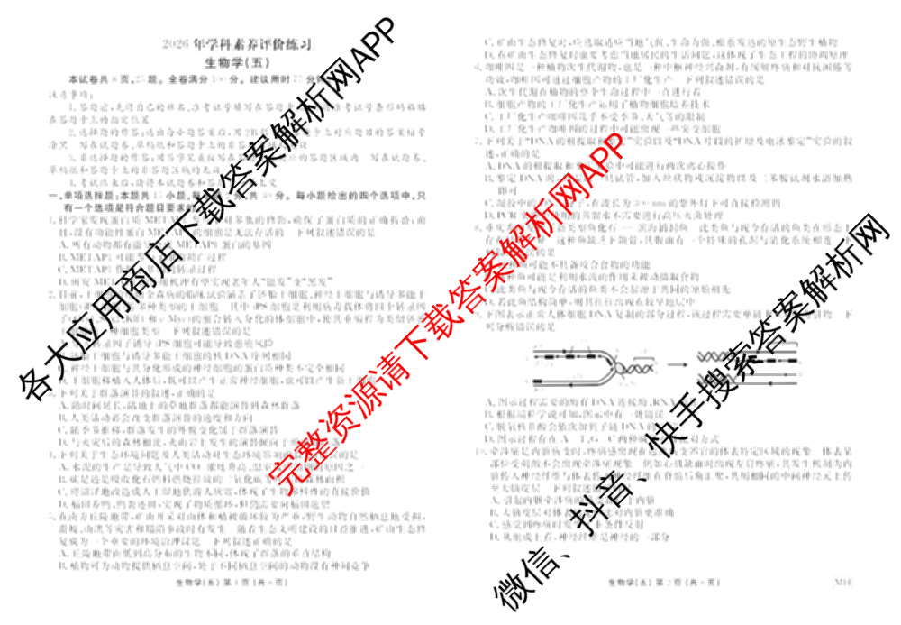 衡水金卷先享题2026年学科素养评价练(五)5各科答案及试卷（含政治(AH)【安徽四川甘肃专版】 物理(HN)【湖南专版】 生物(山东专版)等）生物试题