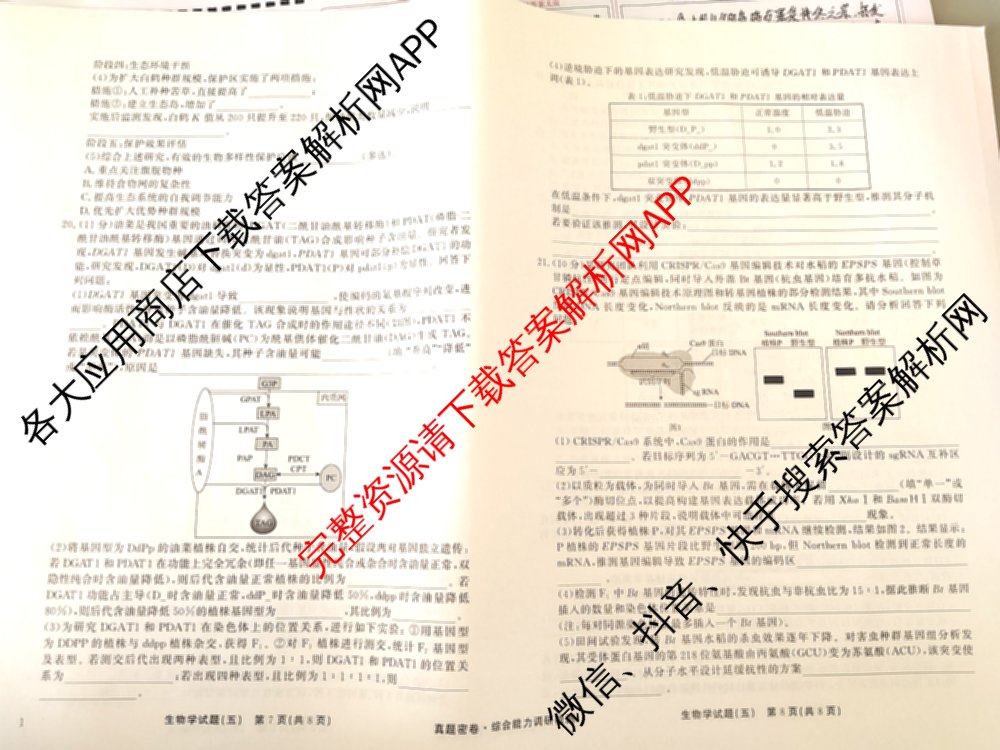 衡水真题密卷2025-2026学年度综合能力调研检测(五)5各科答案及试卷(已更新化学(2) 数学(A) 数学(B)等15份)生物试题