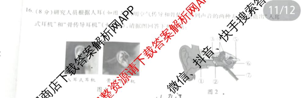 [益卷]2025~2026学年度第一学期课后综合作业(一)[试卷类型A]八年级试卷及答案汇总（12科全）生物试题