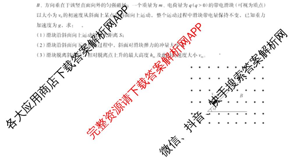 广西邕衡教育名校联盟广西2026届高三年级秋季学期8月联合调研测试试卷及答案汇总（含日语 物理 数学等）物理试题