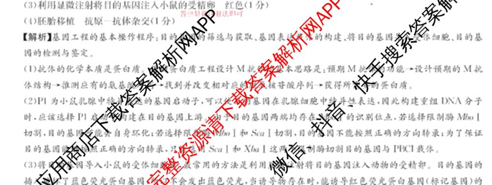 炎德英才大联考湖南师大附中2026届高三月考试卷(四)试卷及答案汇总: 含政治、数学、语文试卷解析生物试题