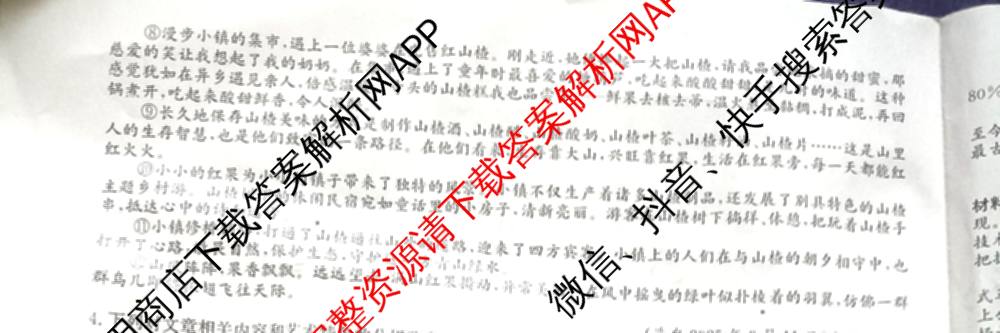 2025年安徽省初中学业水考试名校联考(三)（含物理、语文、英语等7份）语文试题