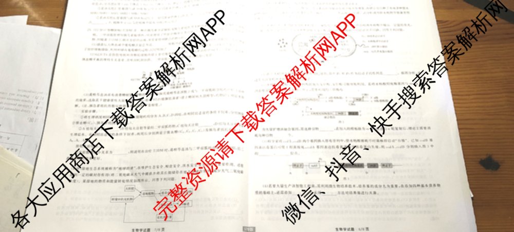 天舟高考衡中同卷2025届全国高三联合性检测(4月)（含物理(L专版)、生物(AH专版)、物理(J专版)等）生物试题