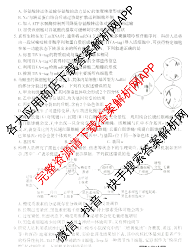 [太原二模]太原市2025年高三年级模拟考试(二): 含政治、物理、英语试卷解析生物试题
