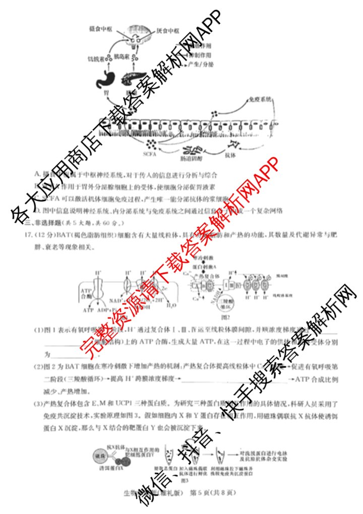 炎德英才大联考雅礼中学2025届模拟试卷(二)各科答案及试卷(已更新化学 政治 物理等9份)生物试题