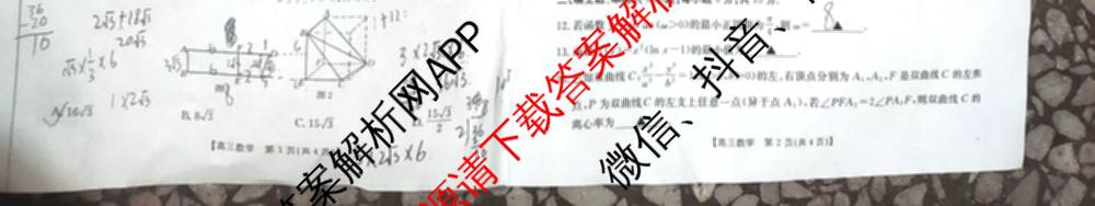 2025年定西市普通高中高三年级诊断考试各科答案及试卷: 含物理、数学、生物试卷解析数学试题