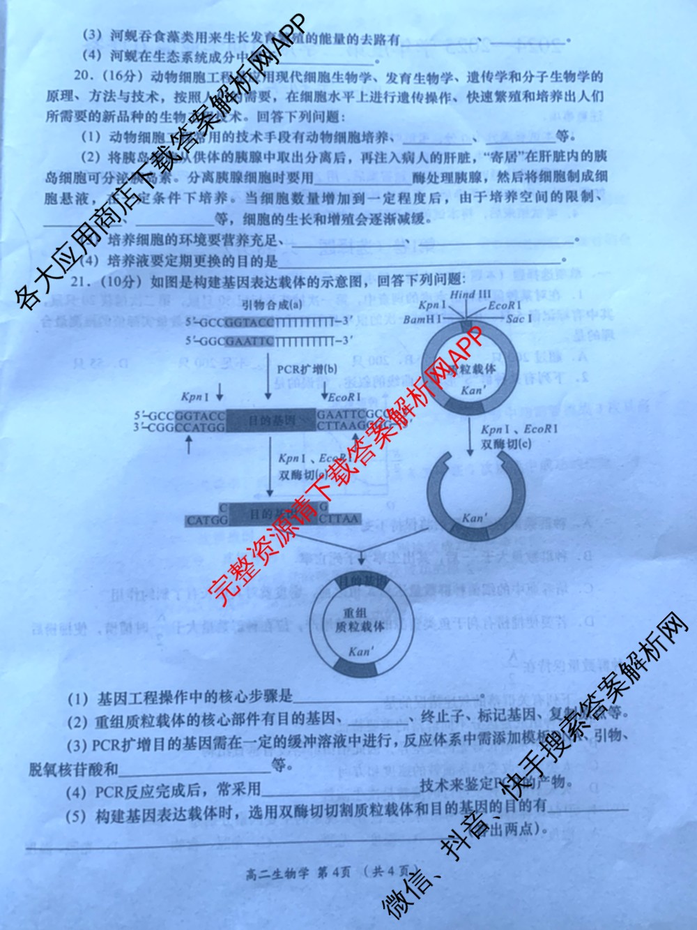 2024-2025学年度第二学期周期学业能力评鉴高二(6.26): 含历史、化学(MQ)、地理试卷解析生物试题