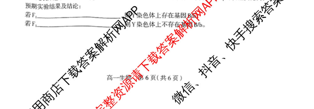 石家庄市2023~2024学年度高一第二学期期末教学质量检测（含历史 物理 生物等9份）生物试题