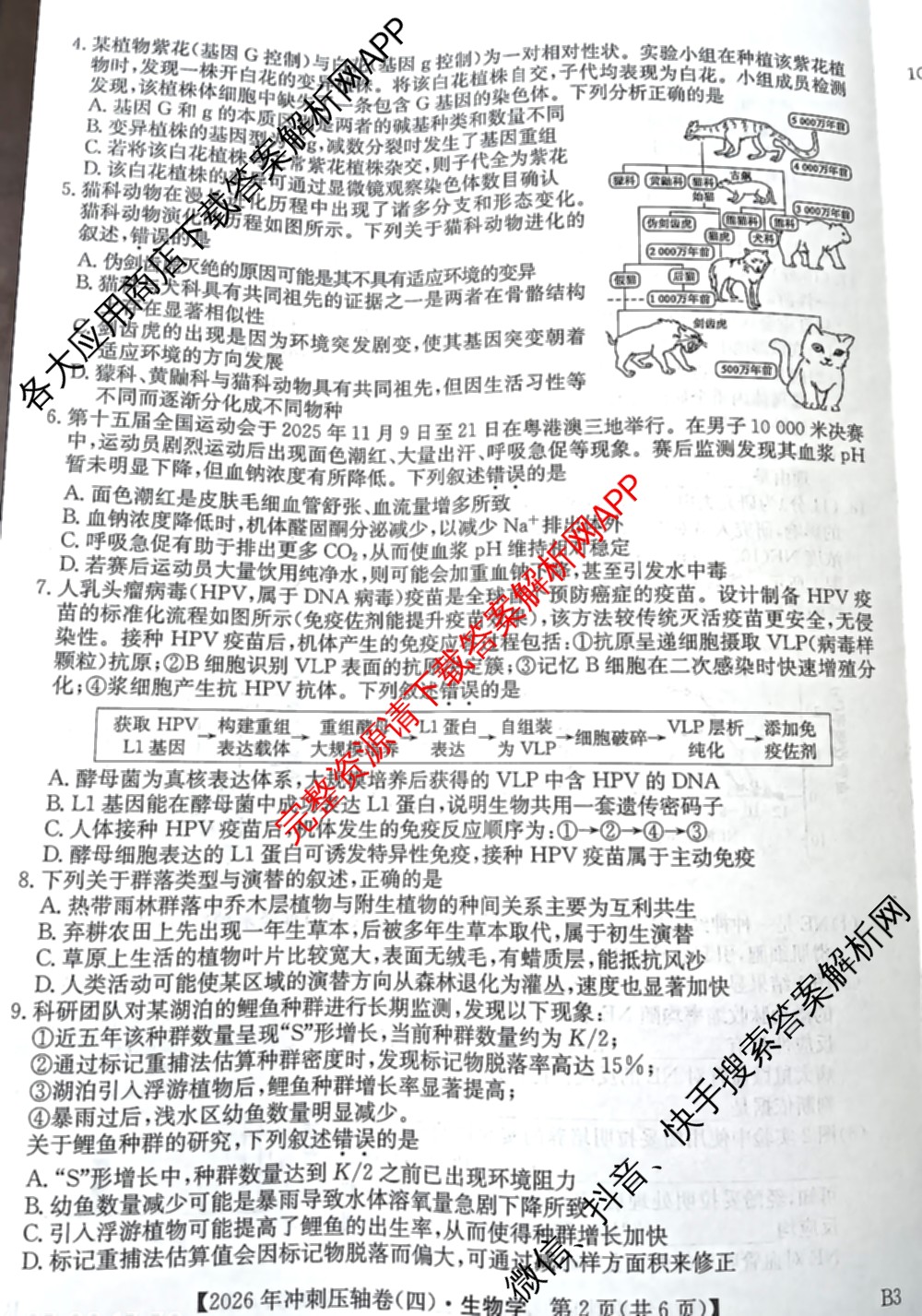 2026年全国高考冲刺压轴卷(四)4各科答案及试卷（含化学(B2)、历史(江西)、地理(广西)等）生物试题