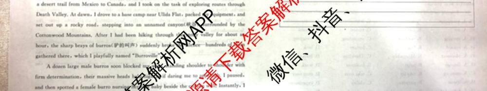 河北省2026届高三第二次质量检测(HB)试卷及答案汇总（10科全）英语试题