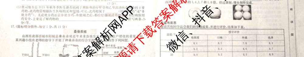 山西省2024~2025学年度八年级阶段评估(C)[PGZX D SHX(五)]试卷及答案汇总（含历史(R)、数学(HSD)、语文(R)等）生物试题
