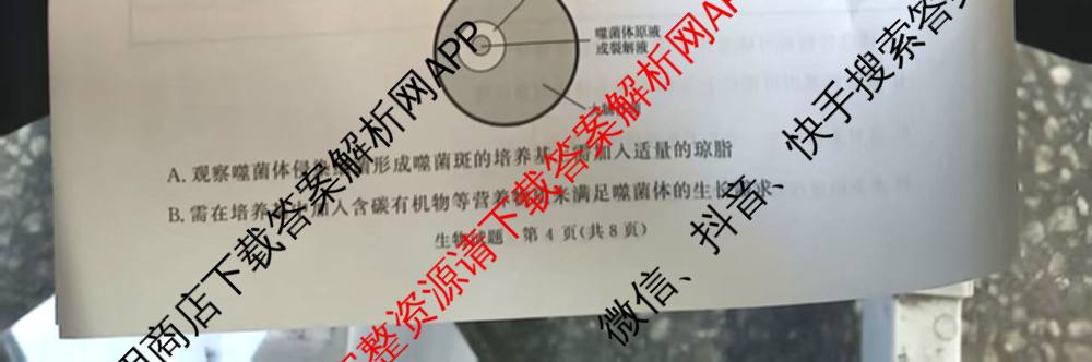 青桐鸣河南省2025-2026学年高三9月质量检测考试(9.15)各科答案及试卷(已更新生物、英语、物理等9份)生物试题