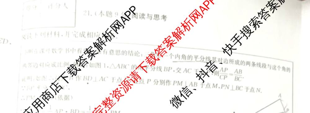 山西省2024~2025学年度八年级阶段评估(C)[PGZX D SHX(五)]试卷及答案汇总（含历史(R)、数学(HSD)、语文(R)等）数学试题