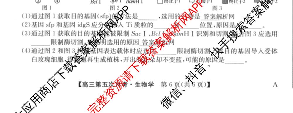 全国名校2026届高三月考滚动卷(五)5（9科全）生物试题