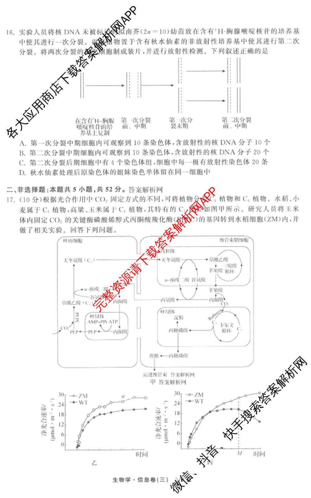 天舟高考衡中同卷2026年普通高等学校招生全国统一考试模拟信息卷(三)3试卷及答案汇总（含历史(GY) 物理(安徽版) 英语(通用版)等）生物试题