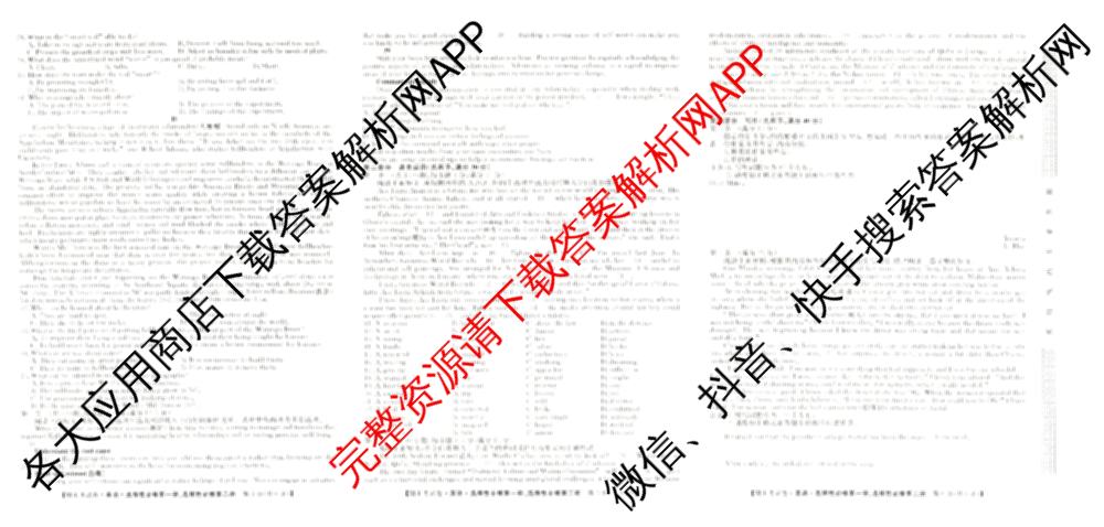 2024~2025学年度高二期末考试卷试卷及答案汇总(已更新英语(选择性必修第一册、选择性必修第二册) 历史(选择性必修1、2  RJ) 生物(选择性必修1、2 RJ B)等10份)英语试题