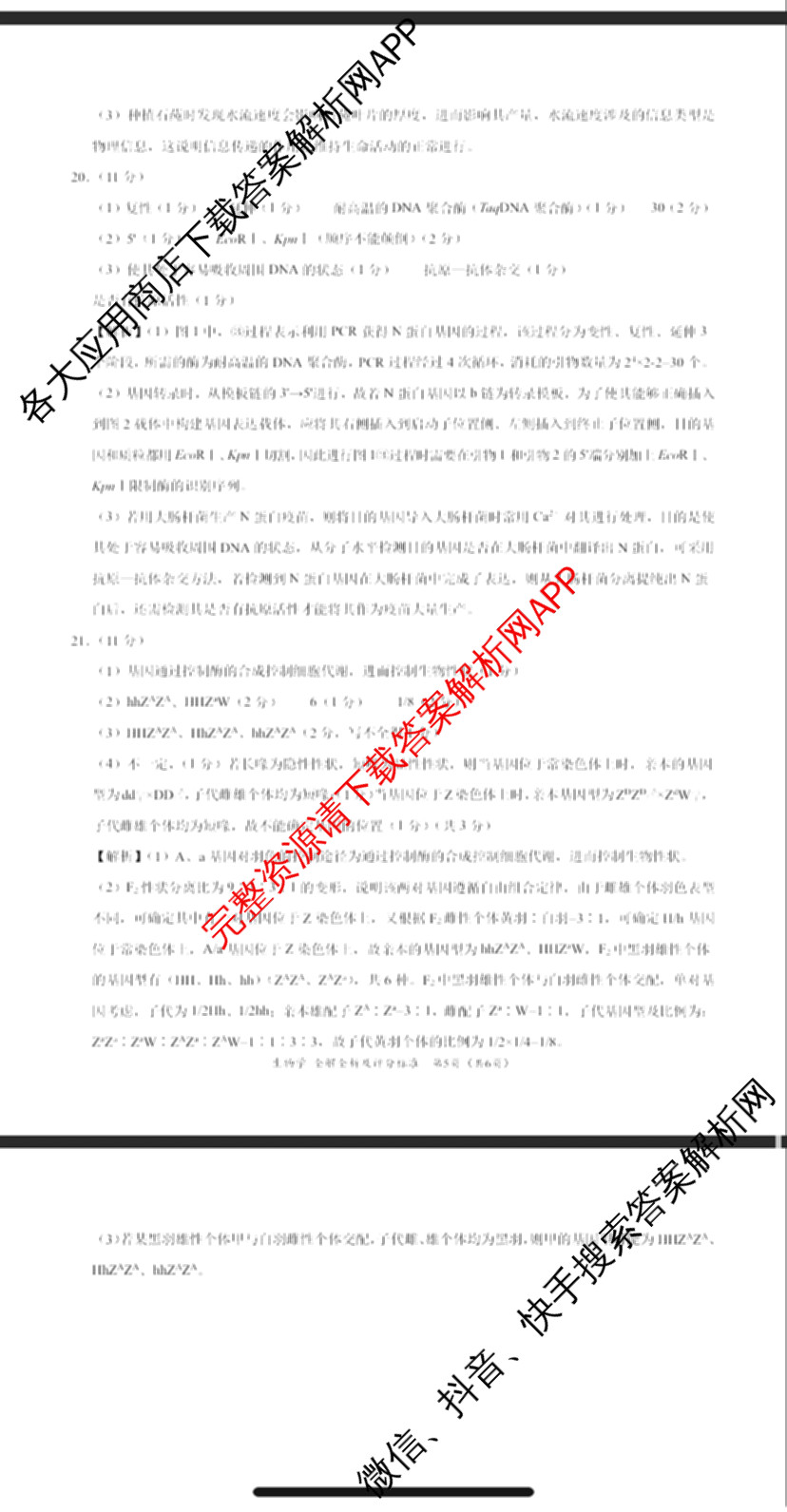学科网2026届新高三学情摸底考各科答案及试卷（含地理(甘肃) 历史(新课标卷) 历史(甘肃)等58份）生物答案