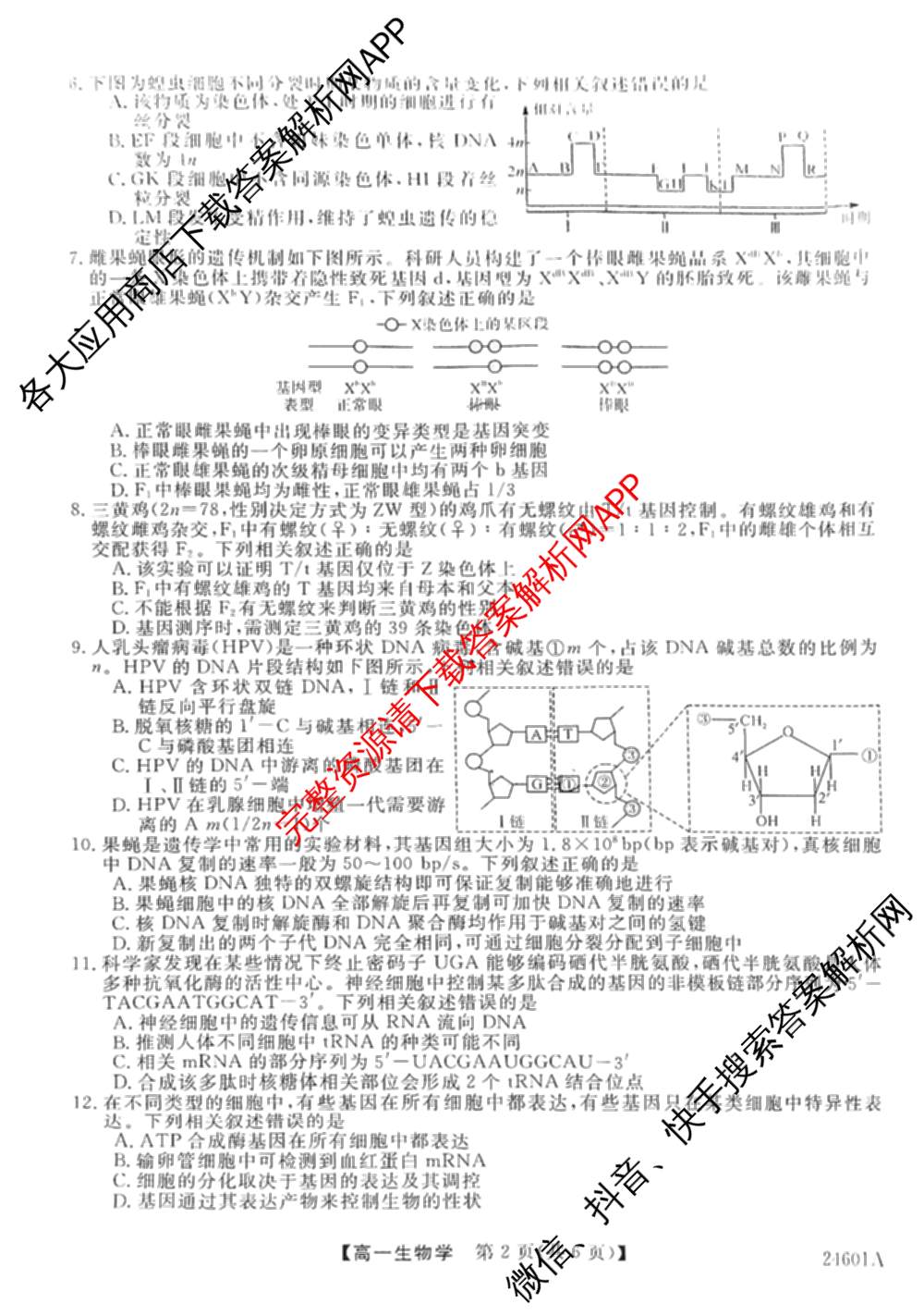 金科大联考2023-2024学年高一5月质量检测卷(24601A)(已更新英语、语文、生物等10份)生物试题