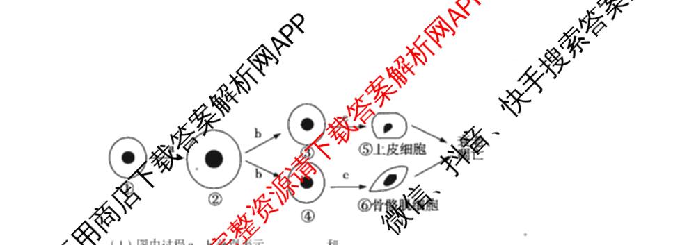 山西省太原市山西大学附中2025-2026学年高三8月月考: 含政治 地理 数学试卷解析生物试题