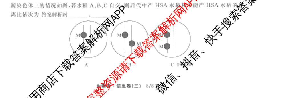 天舟高考衡中同卷2026年普通高等学校招生全国统一考试模拟信息卷(三)3试卷及答案汇总（含历史(GY) 物理(安徽版) 英语(通用版)等）生物试题