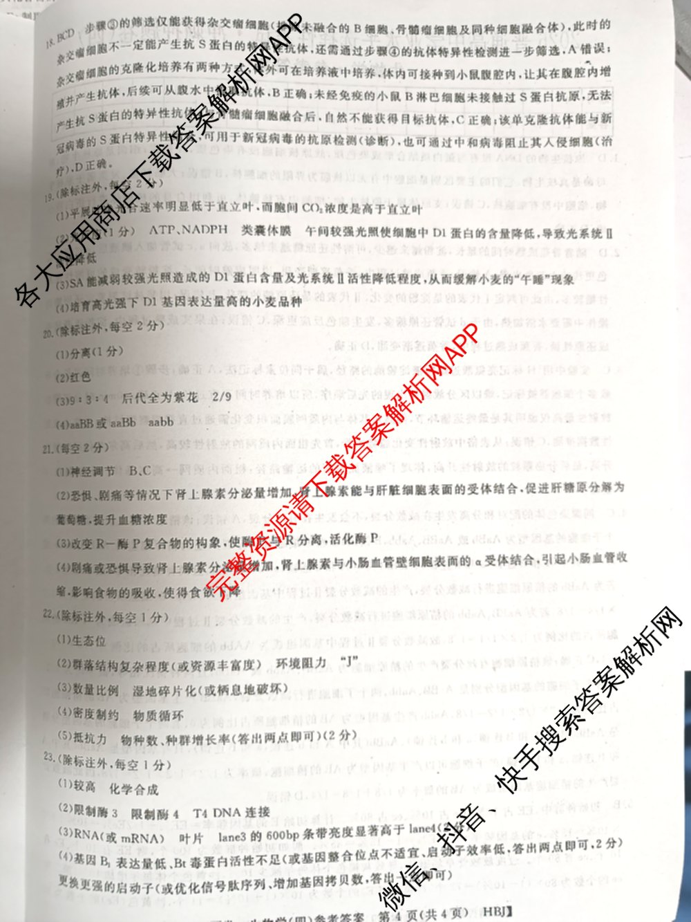 2026普通高等学校招生全国统一考试冲刺押题卷(四)4试卷及答案汇总（含生物(HBJ)、数学(B L)、政治等16份）生物答案
