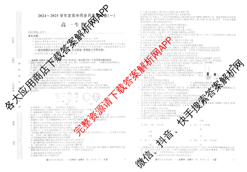 2024-2025学年度高一高中同步月考测试卷(一)试卷及答案汇总(已更新语文(必修上册 RJ)、政治(必修1 RJ)、数学(必修第一册 BSD)等11份)生物试题