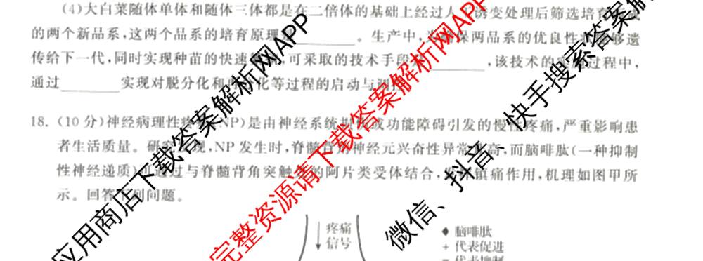 天舟高考衡中同卷2026年普通高等学校招生全国统一考试模拟信息卷(一)1各科答案及试卷（含化学(山东版) 历史(HJ) 生物(DS)等）生物试题
