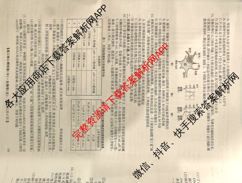 九师联盟2024~2025学年高三核心模拟卷(中)(五)5各科答案及试卷（含地理(HB) 物理(D1) 生物(D1)等）生物试题