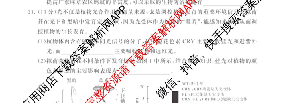 2025届高三部分重点中学3月联合测评(T8联考)(第二次八省联考)(已更新化学(HBZB)、历史(SXZB)、语文等25份)生物试题