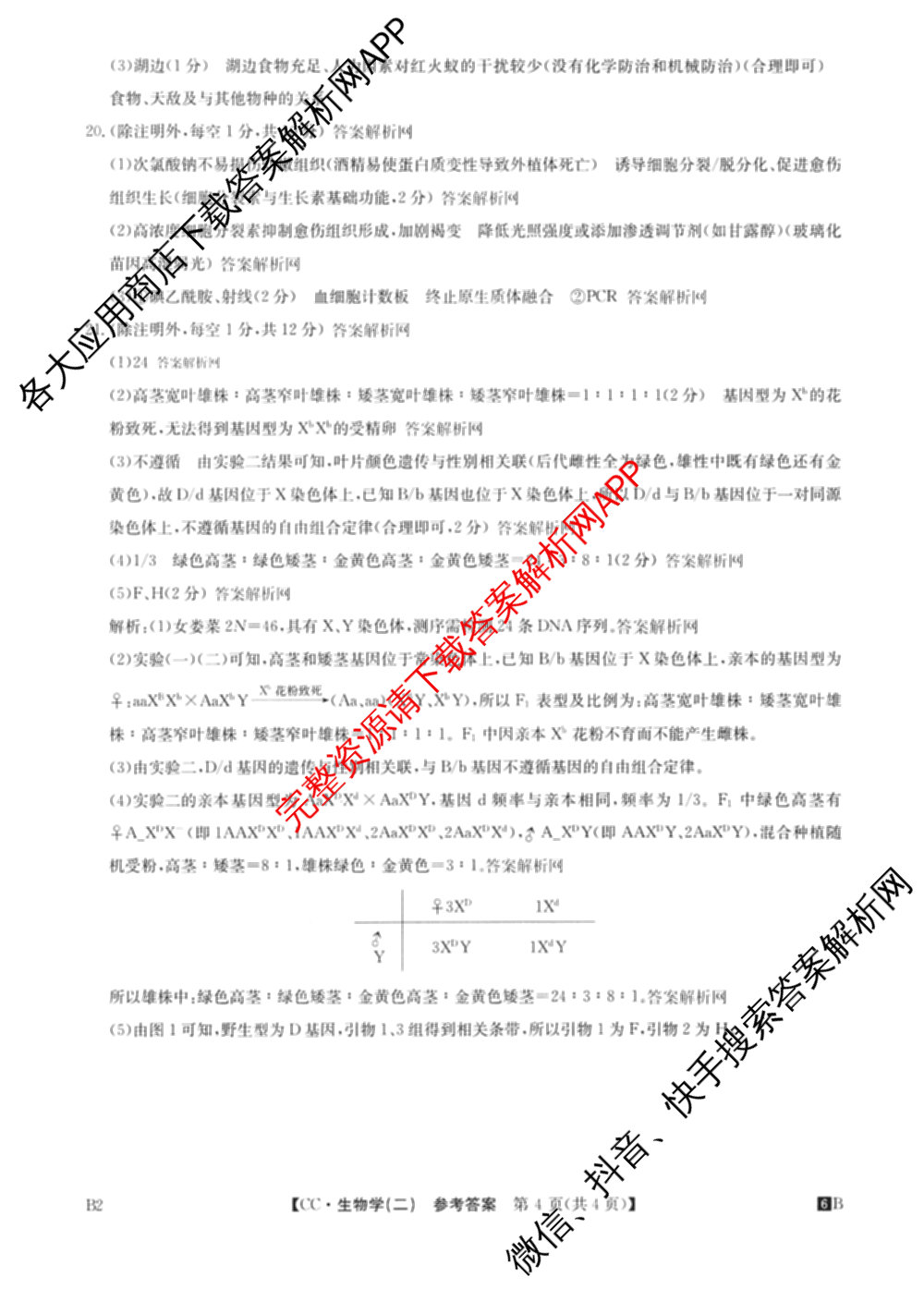 2026年全国高考冲刺压轴卷(二)2(已更新历史(湖南)、地理(河北)、历史(河南)等67份)生物答案