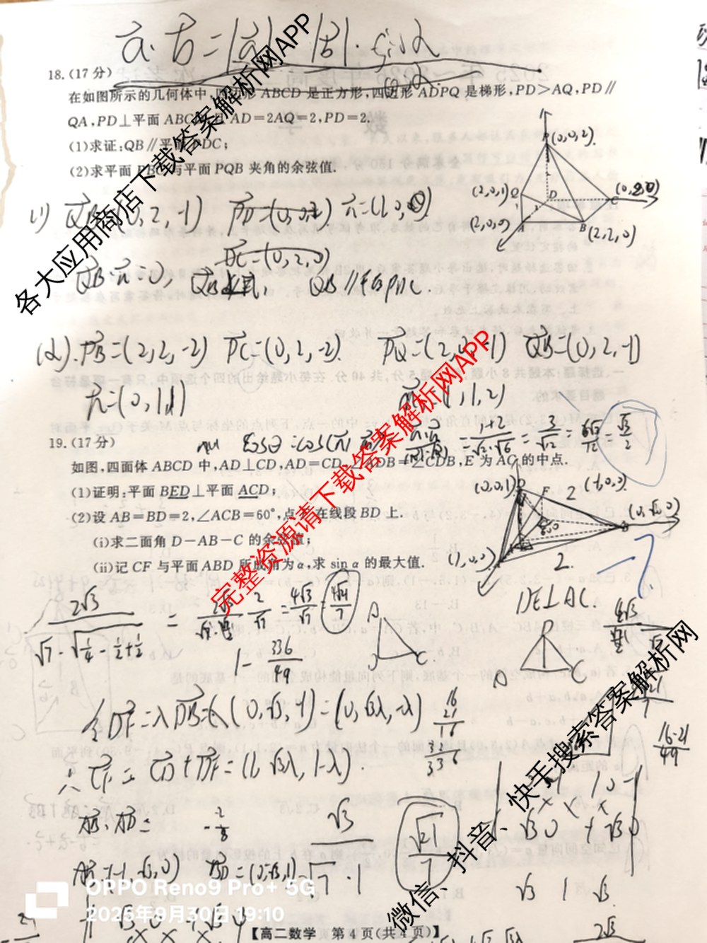 陕西省2025年~2026年度高二第一次考试(9月)试卷及答案汇总（含地理、化学、数学等）数学试题
