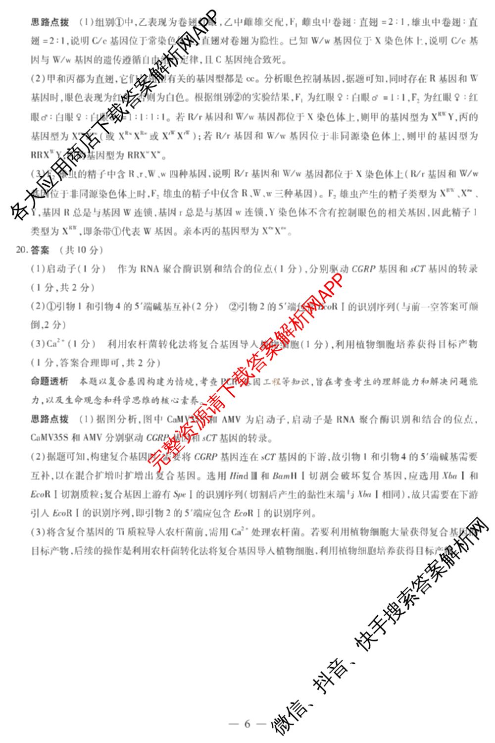 天一大联考安徽省2027届高三9月(标题：高三9月科目): 含生物、日语、语文试卷解析生物答案
