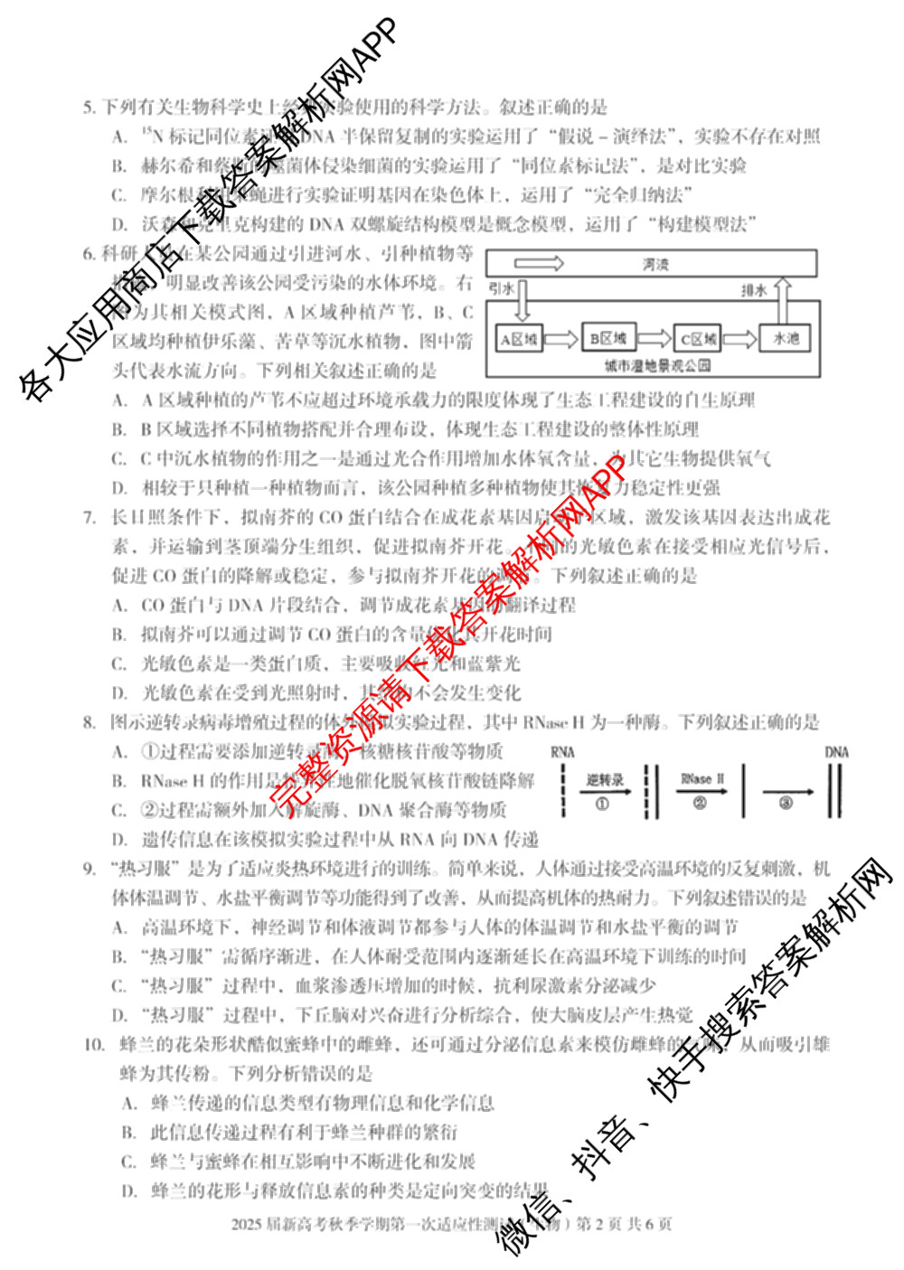 广西邕衡教育名校联盟2025届新高考秋季学期第一次适应性测试试卷及答案汇总（含化学 地理 英语等）生物试题