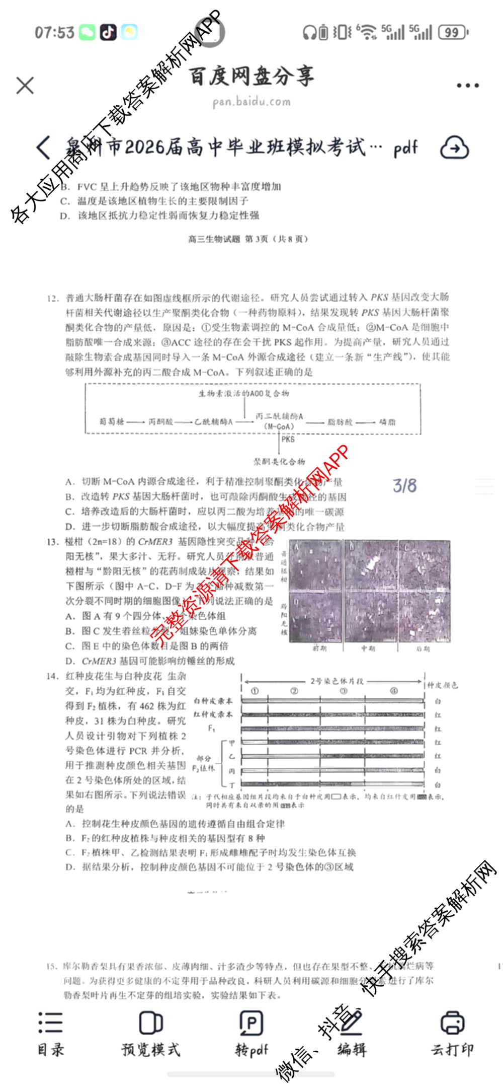 福建省泉州市2026届高中毕业班模拟考试(一)高三2026.3各科答案及试卷（含化学 数学 物理等）生物试题