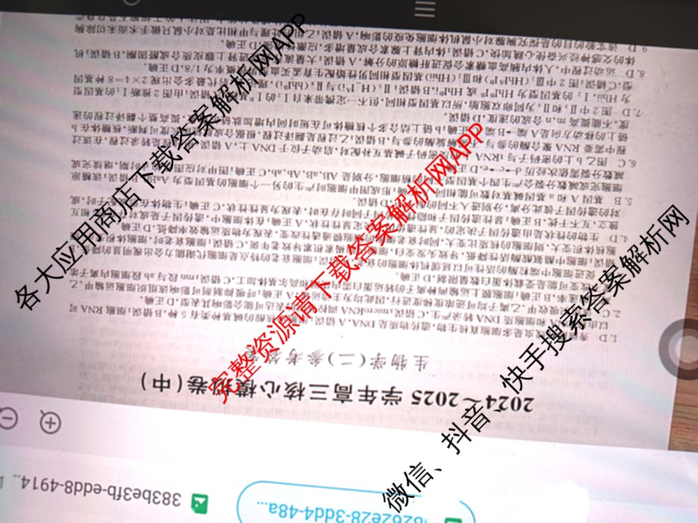 九师联盟2024~2025学年高三核心模拟卷(中)(二)2（含历史 地理(D4) 数学等29份）生物答案