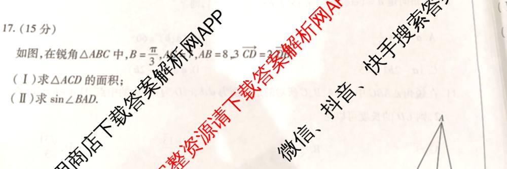  天一大联2024-2025学年高一年级阶段性测试(四)4各科答案及试卷（含数学(北师大版) 化学(鲁科版) 物理(宣城专版)等）数学试题