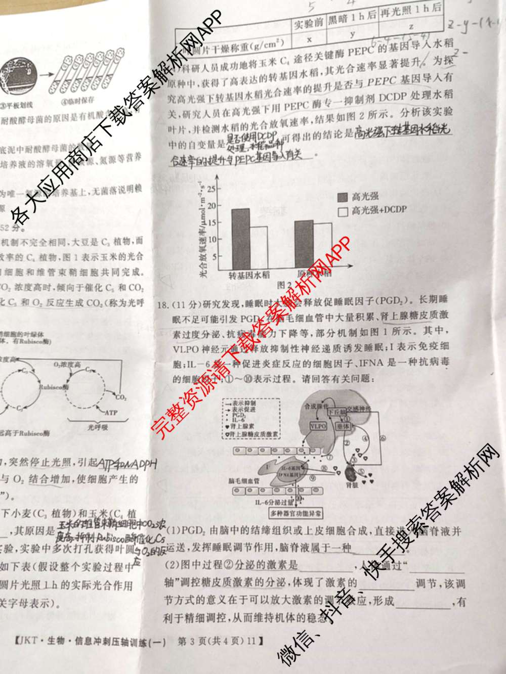 2026高考总复课堂测评信息冲刺压轴训练(一)1试卷及答案汇总（含化学(3)、历史(2)、物理(8)等21份）生物试题