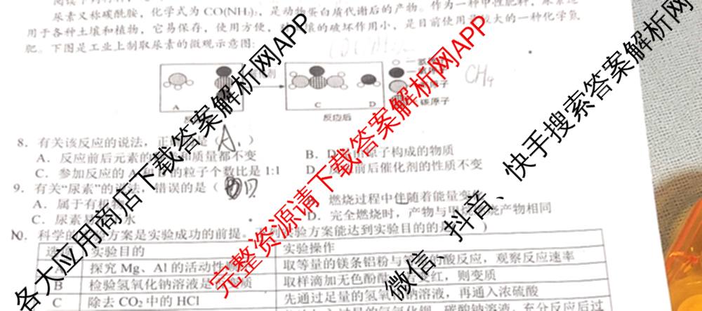 安徽省C20教育联盟2025年九年级中考功夫卷(四)(已更新语文 英语 数学等7份)化学试题